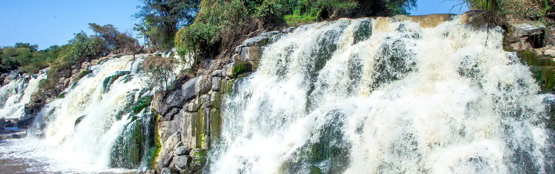  Awash National Park Tour ETHN02